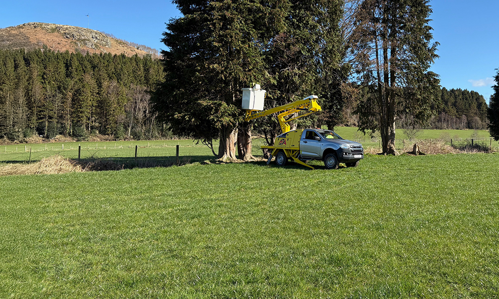 A Breath of Fresh Air for Fleets